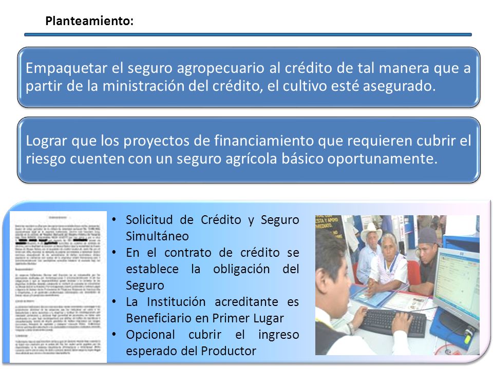 Planteamiento: Empaquetar el seguro agropecuario al crédito de tal manera que a partir de la ministración del crédito, el cultivo esté asegurado.
