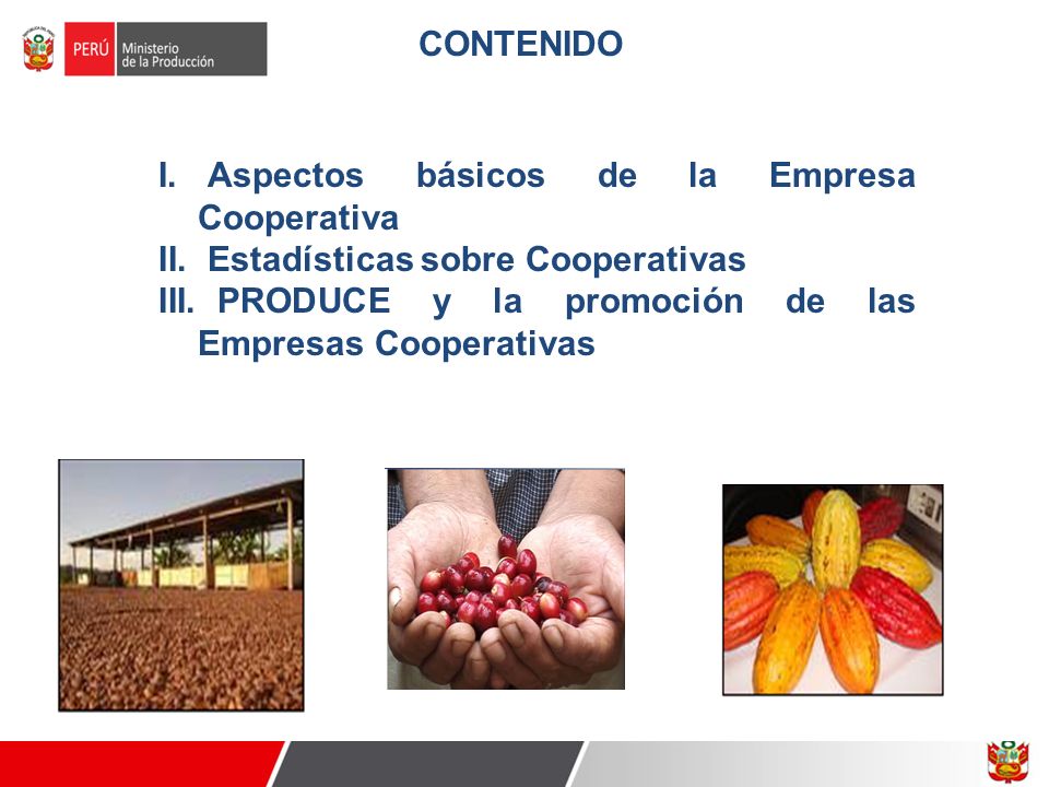 Eco. Ricardo G. Pérez Luyo Director de Cooperativas - ppt video online  descargar