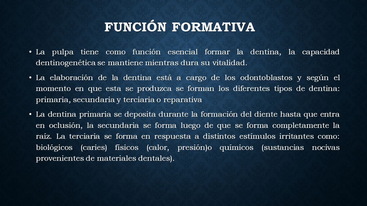 FUNCIÓN FORMATIVA La pulpa tiene como función esencial formar la dentina, la capacidad dentinogenética se mantiene mientras dura su vitalidad.