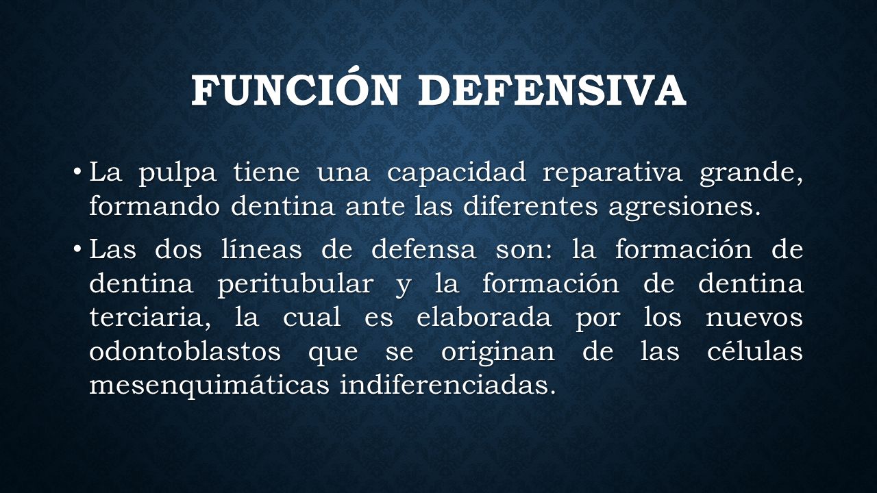 FUNCIÓN DEFENSIVA La pulpa tiene una capacidad reparativa grande, formando dentina ante las diferentes agresiones.