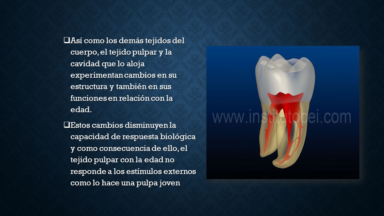 Así como los demás tejidos del cuerpo, el tejido pulpar y la cavidad que lo aloja experimentan cambios en su estructura y también en sus funciones en relación con la edad.