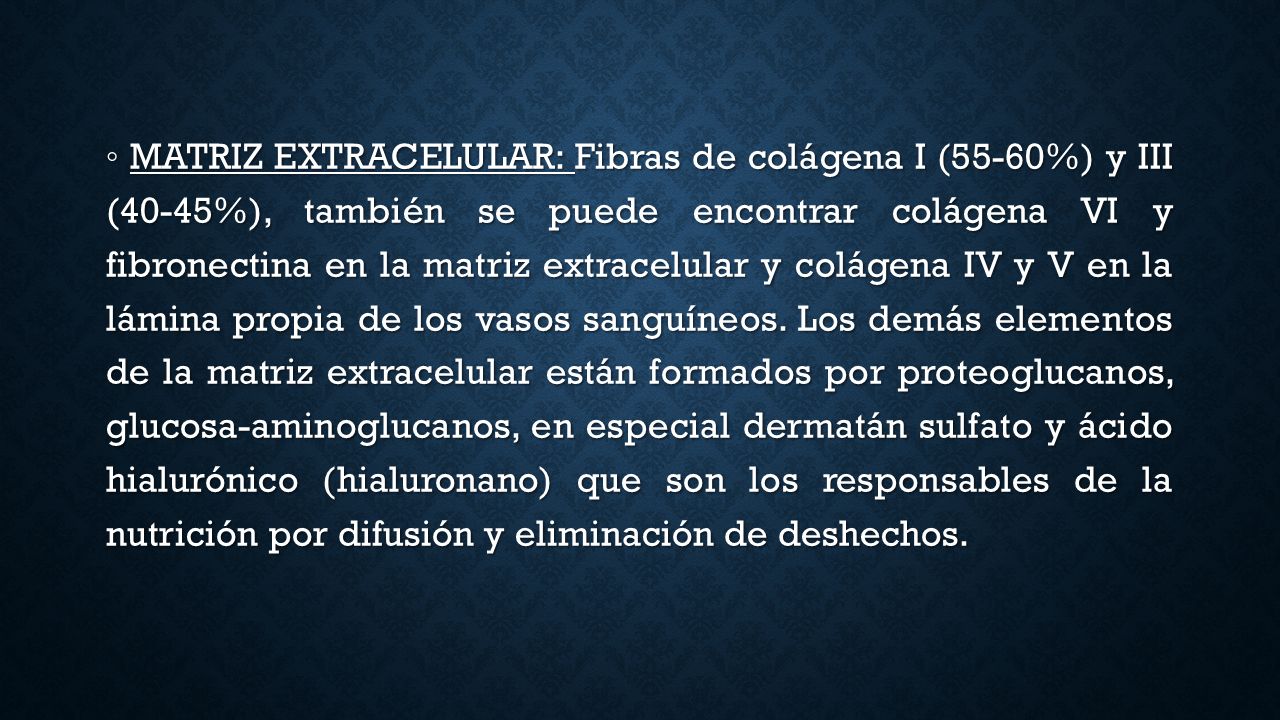 ◦ MATRIZ EXTRACELULAR: Fibras de colágena I (55-60%) y III (40-45%), también se puede encontrar colágena VI y fibronectina en la matriz extracelular y colágena IV y V en la lámina propia de los vasos sanguíneos.