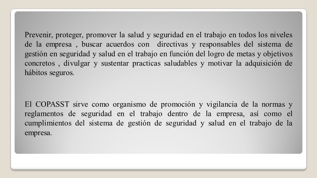 Prevenir, proteger, promover la salud y seguridad en el trabajo en todos los niveles de la empresa , buscar acuerdos con directivas y responsables del sistema de gestión en seguridad y salud en el trabajo en función del logro de metas y objetivos concretos , divulgar y sustentar practicas saludables y motivar la adquisición de hábitos seguros.