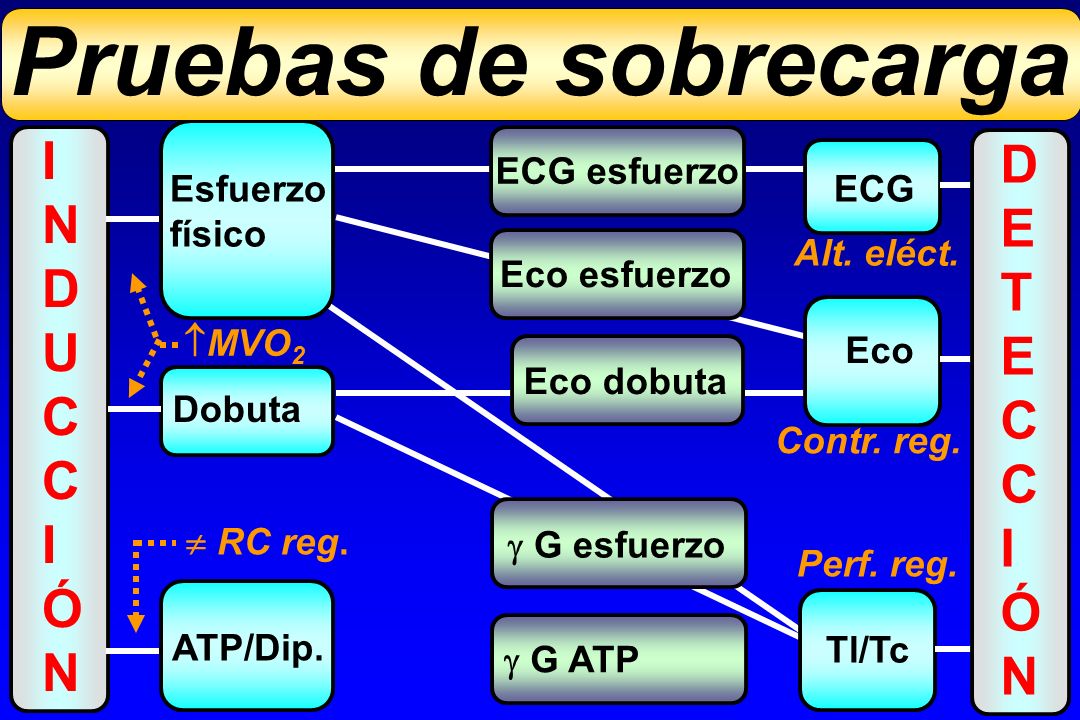 Pruebas de sobrecarga I D N E D T U C C I Ó Ó N ECG esfuerzo Esfuerzo