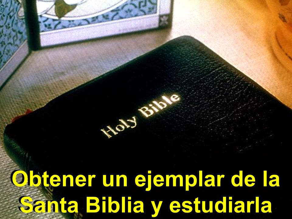Obtener un ejemplar de la Santa Biblia y estudiarla