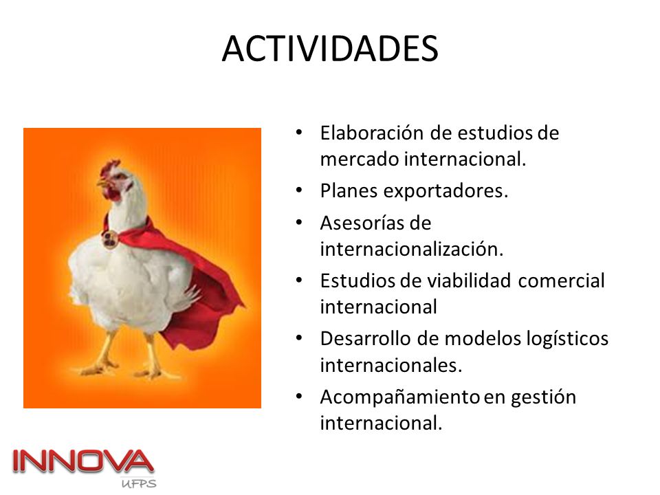 ACTIVIDADES Elaboración de estudios de mercado internacional.