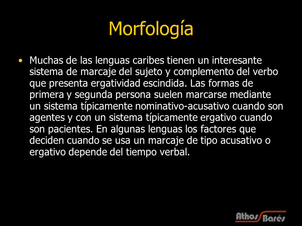 Morfología