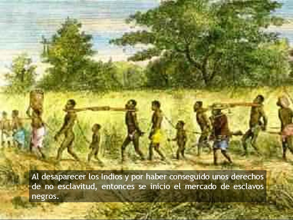 Al desaparecer los Indios y por haber conseguido unos derechos de no esclavitud, entonces se inicio el mercado de esclavos negros.
