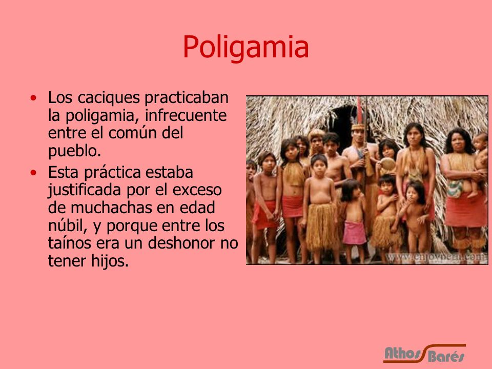 Poligamia Los caciques practicaban la poligamia, infrecuente entre el común del pueblo.