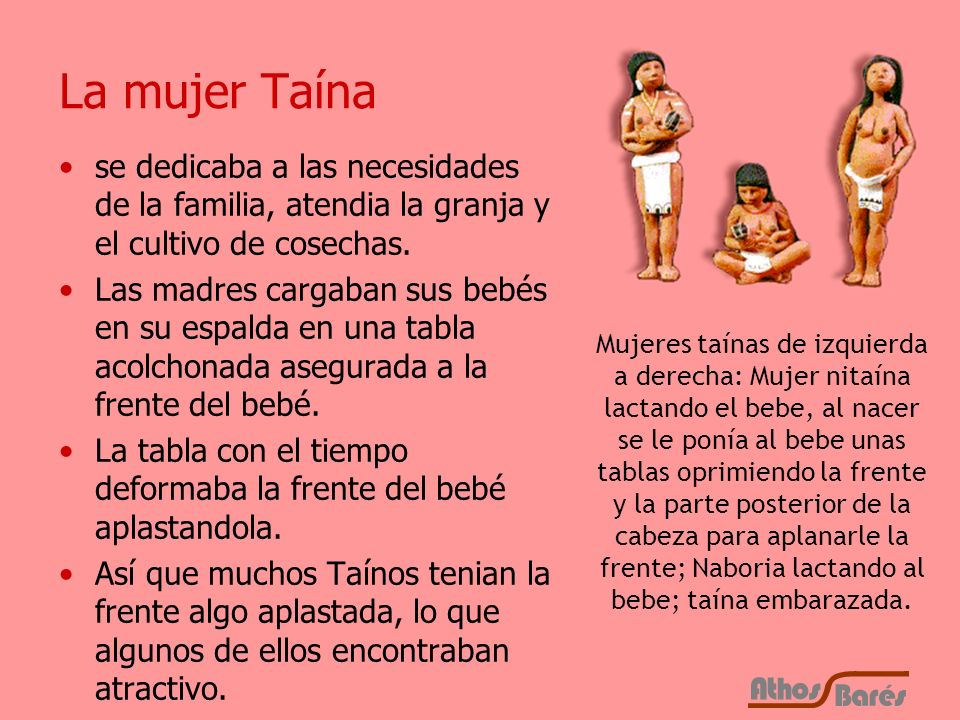 La mujer Taína se dedicaba a las necesidades de la familia, atendia la granja y el cultivo de cosechas.
