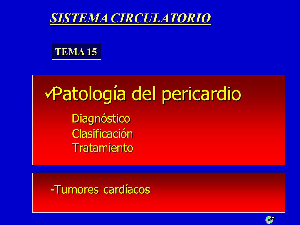 SISTEMA CIRCULATORIO TEMA 15.