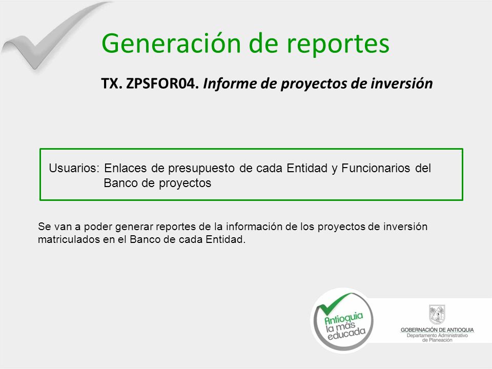 Generación de reportes TX. ZPSFOR04. Informe de proyectos de inversión