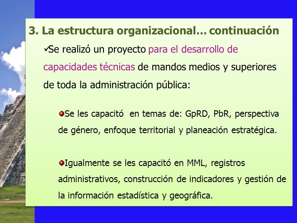 3. La estructura organizacional… continuación