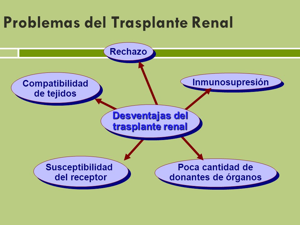 Problemas del Trasplante Renal