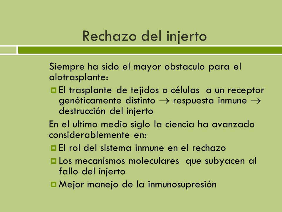Rechazo del injerto Siempre ha sido el mayor obstaculo para el alotrasplante: