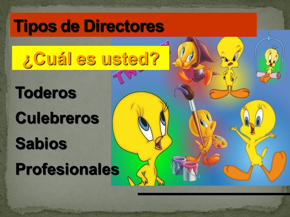 ¿Cuál es usted Tipos de Directores