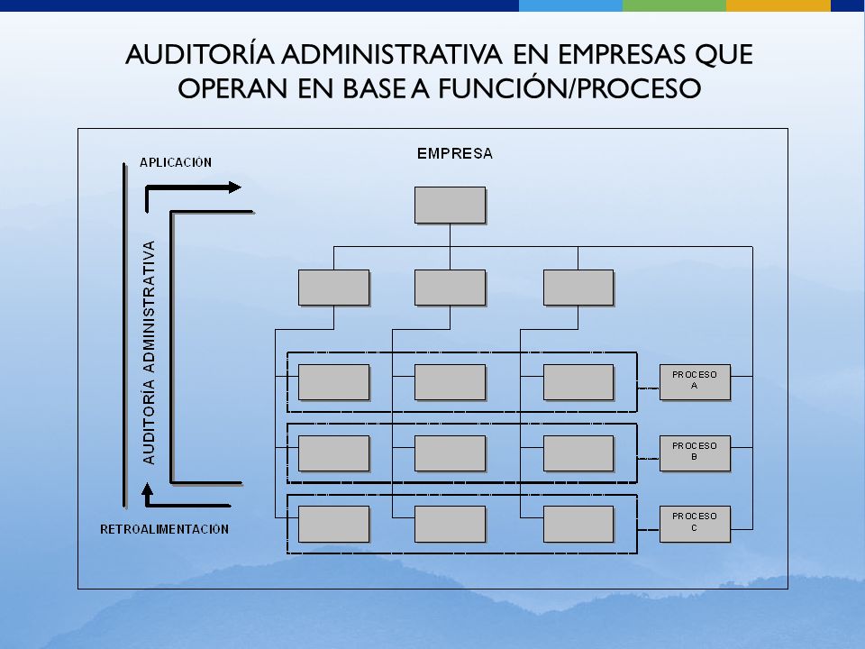 AUDITORÍA ADMINISTRATIVA EN EMPRESAS QUE OPERAN EN BASE A FUNCIÓN/PROCESO