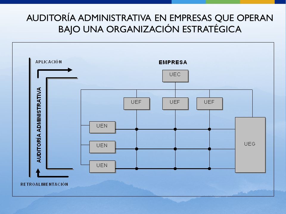 AUDITORÍA ADMINISTRATIVA EN EMPRESAS QUE OPERAN BAJO UNA ORGANIZACIÓN ESTRATÉGICA