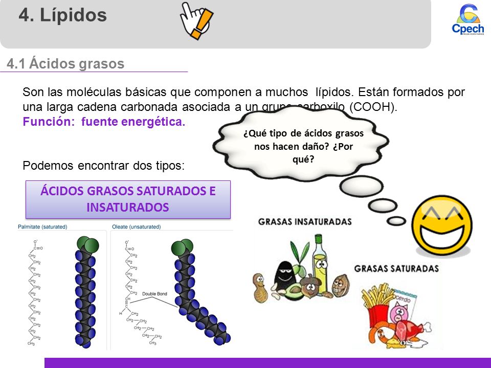 4. Lípidos 4.1 Ácidos grasos ÁCIDOS GRASOS SATURADOS E INSATURADOS