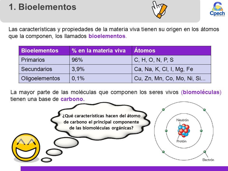 1. Bioelementos Las características y propiedades de la materia viva tienen su origen en los átomos que la componen, los llamados bioelementos.