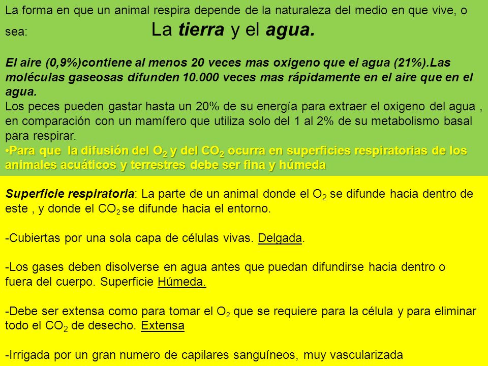 La forma en que un animal respira depende de la naturaleza del medio en que vive, o sea: La tierra y el agua.