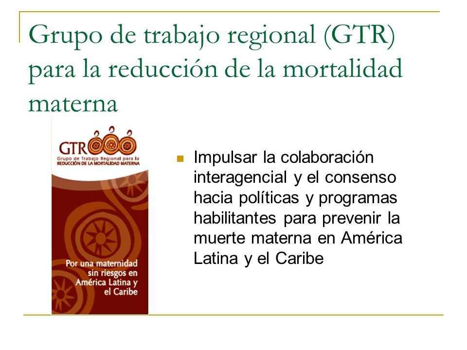 Grupo de trabajo regional (GTR) para la reducción de la mortalidad materna