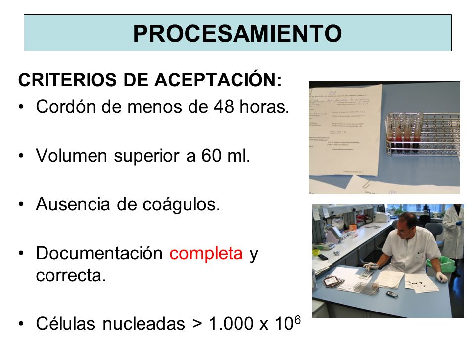 PROCESAMIENTO CRITERIOS DE ACEPTACIÓN: Cordón de menos de 48 horas.