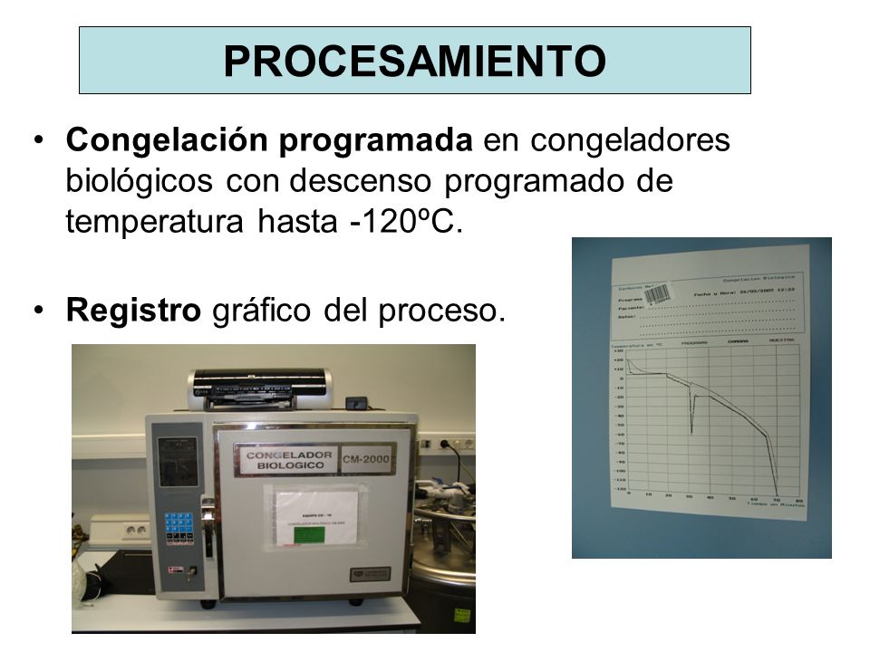 PROCESAMIENTO Congelación programada en congeladores biológicos con descenso programado de temperatura hasta -120ºC.