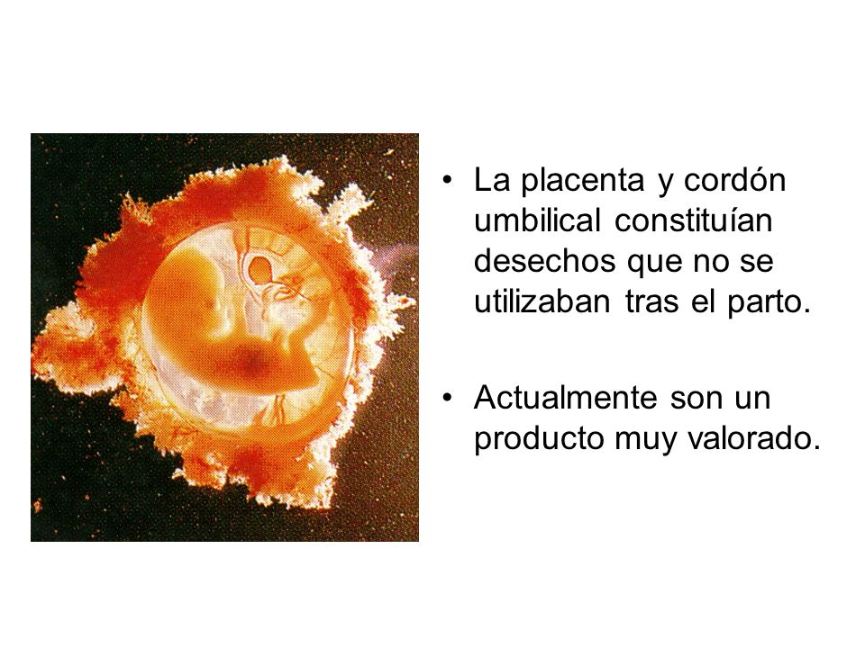La placenta y cordón umbilical constituían desechos que no se utilizaban tras el parto.