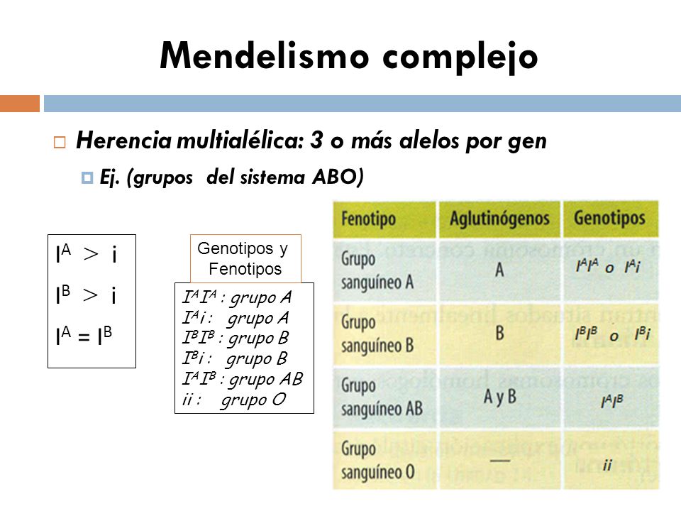 Mendelismo complejo Herencia multialélica: 3 o más alelos por gen