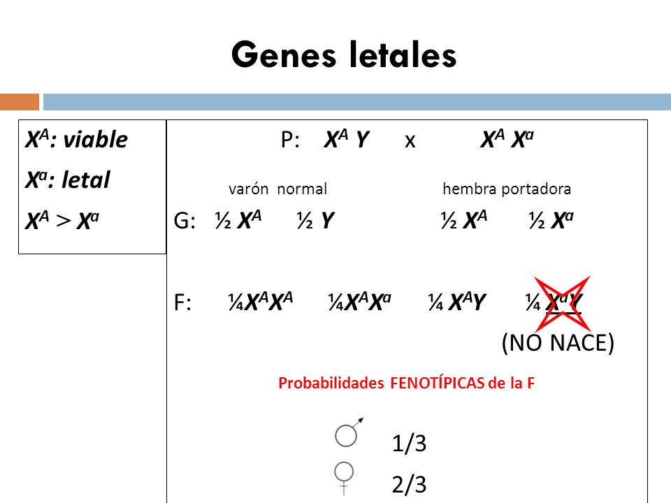 Probabilidades FENOTÍPICAS de la F