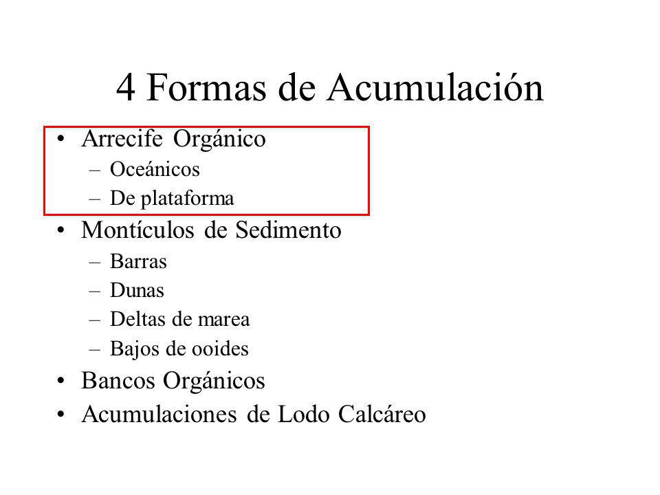 4 Formas de Acumulación Arrecife Orgánico Montículos de Sedimento