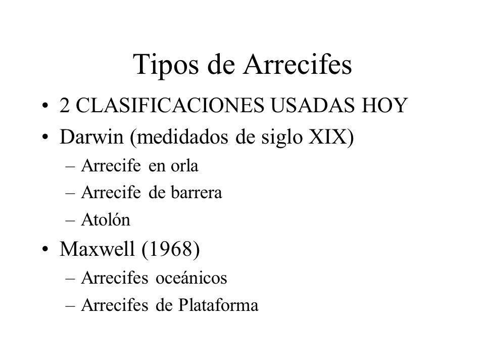 Tipos de Arrecifes 2 CLASIFICACIONES USADAS HOY