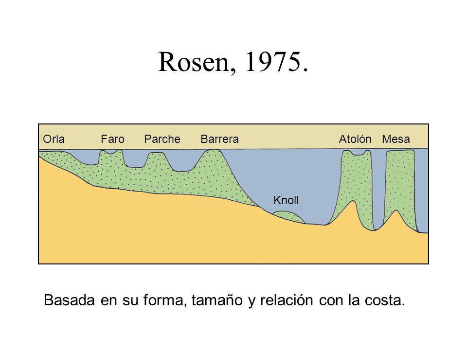Rosen, Basada en su forma, tamaño y relación con la costa.