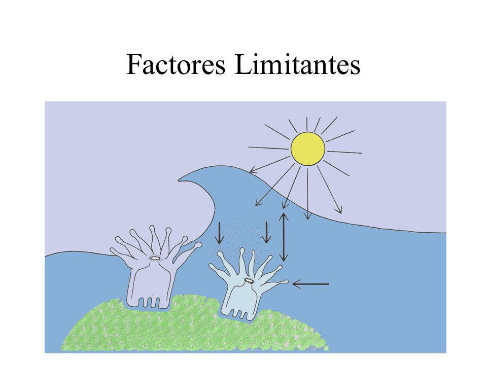 Factores Limitantes