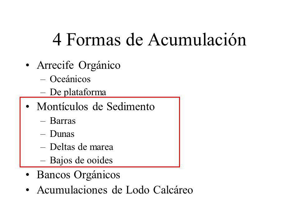 4 Formas de Acumulación Arrecife Orgánico Montículos de Sedimento