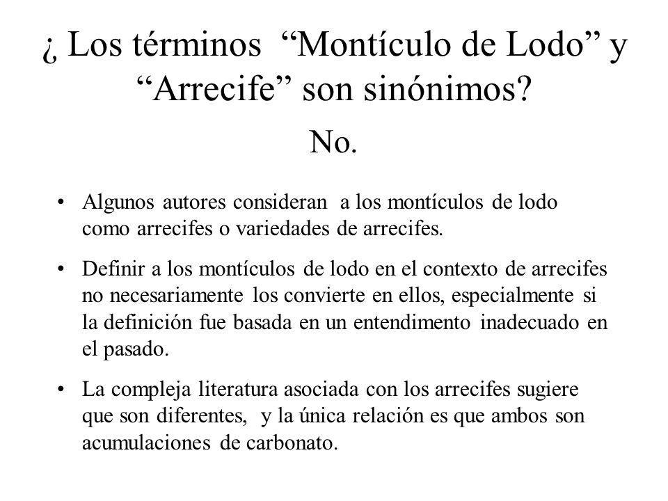¿ Los términos Montículo de Lodo y Arrecife son sinónimos