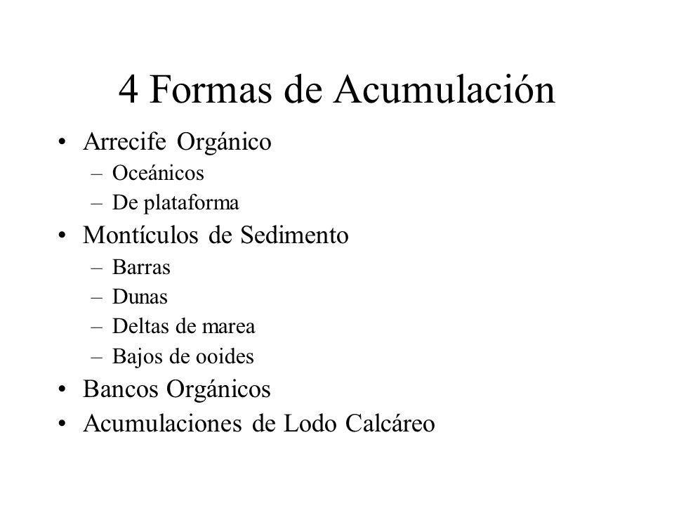4 Formas de Acumulación Arrecife Orgánico Montículos de Sedimento