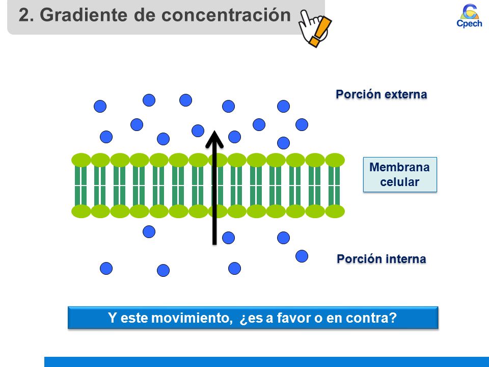 Y este movimiento, ¿es a favor o en contra