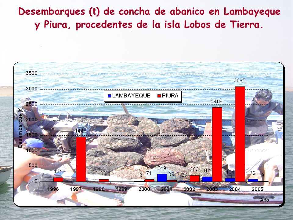 Desembarques (t) de concha de abanico en Lambayeque y Piura, procedentes de la isla Lobos de Tierra.