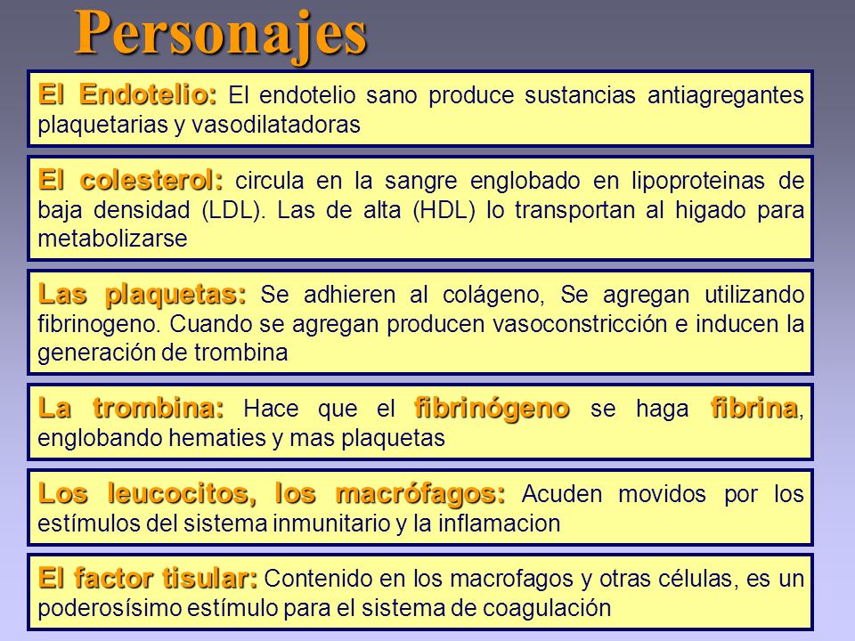 Personajes El Endotelio: El endotelio sano produce sustancias antiagregantes plaquetarias y vasodilatadoras.