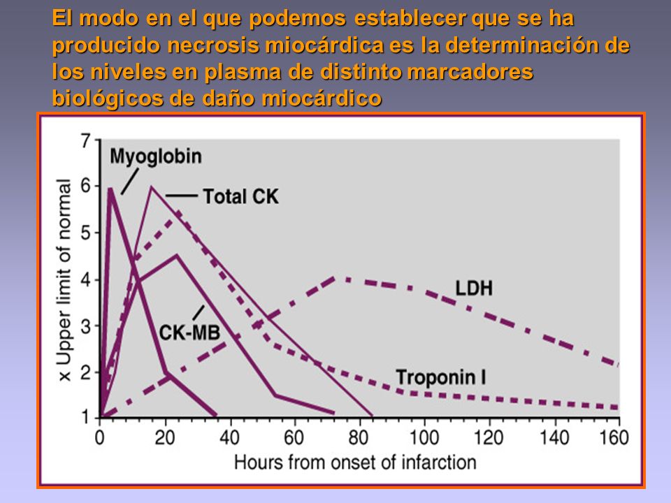 El modo en el que podemos establecer que se ha producido necrosis miocárdica es la determinación de los niveles en plasma de distinto marcadores biológicos de daño miocárdico