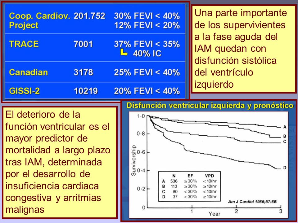 Una parte importante de los supervivientes a la fase aguda del IAM quedan con disfunción sistólica del ventrículo izquierdo