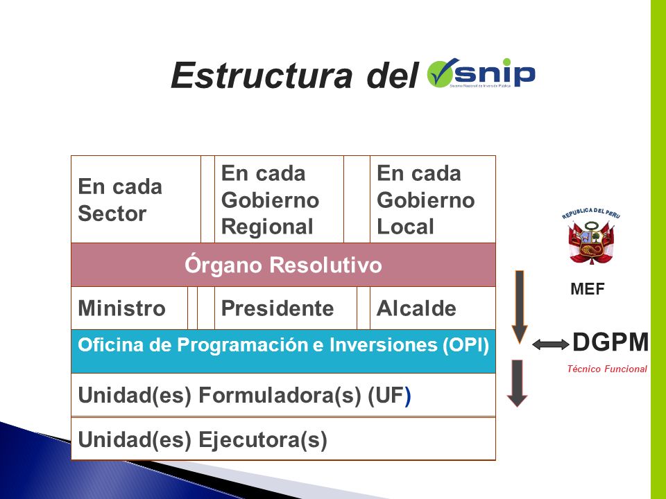Estructura del DGPM En cada Sector En cada Gobierno Regional