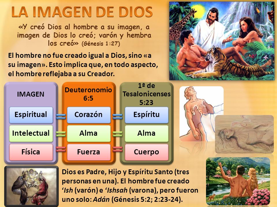 LA IMAGEN DE DIOS Espiritual Intelectual Física Corazón Alma Fuerza