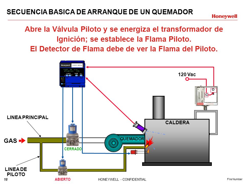 El Detector de Flama debe de ver la Flama del Piloto.