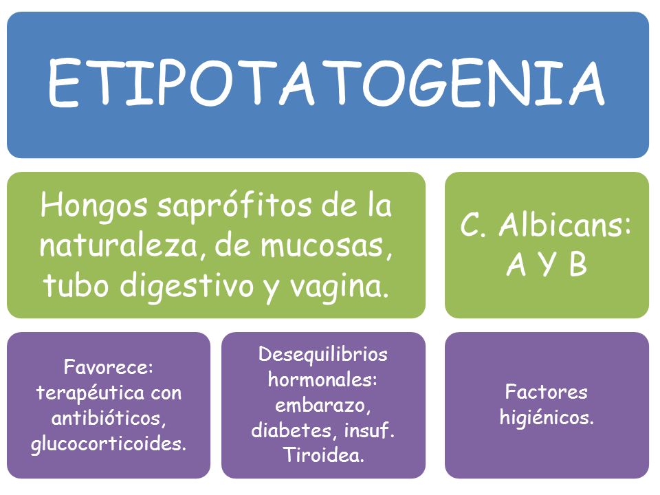 ETIPOTATOGENIA Hongos saprófitos de la naturaleza, de mucosas, tubo digestivo y vagina. Favorece: terapéutica con antibióticos, glucocorticoides.