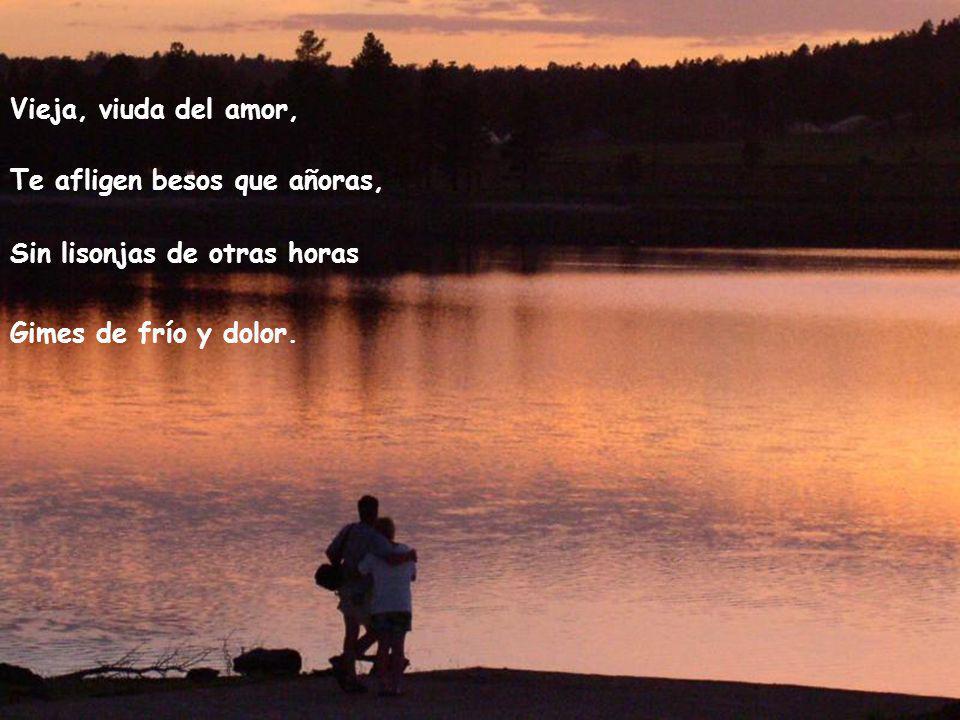 Vieja, viuda del amor, Te afligen besos que añoras, Sin lisonjas de otras horas.