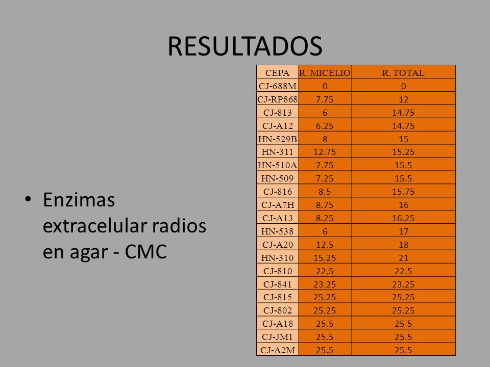 RESULTADOS Enzimas extracelular radios en agar - CMC CEPA R. MICELIO