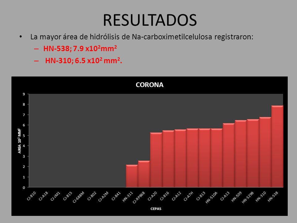 RESULTADOS La mayor área de hidrólisis de Na-carboximetilcelulosa registraron: HN-538; 7.9 x102mm2.